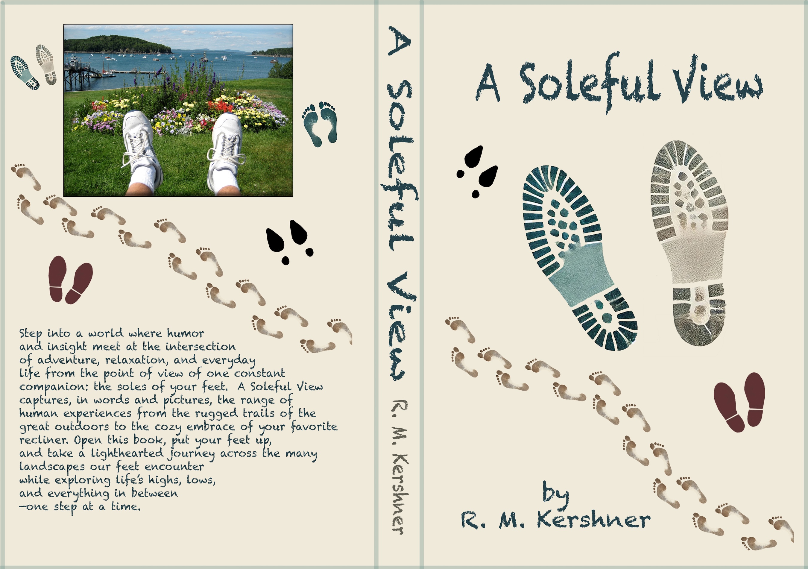 A Soleful View - Book Cover